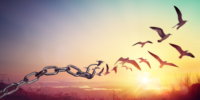 Forgiveness After Infidelity: How Couples Counseling Can Help
